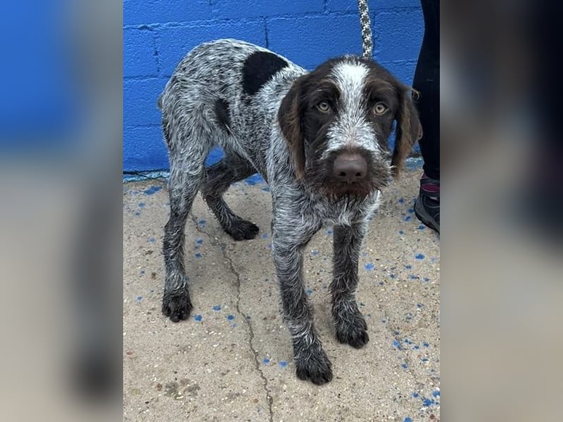 Fito, ein bezaubernder Bube