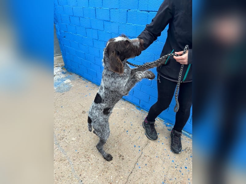 Fito, ein bezaubernder Bube