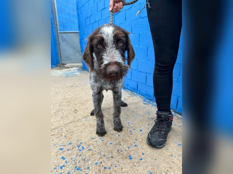 Fito, ein bezaubernder Bube