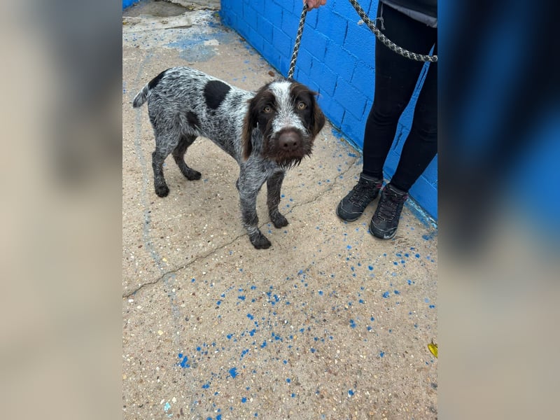 Fito, ein bezaubernder Bube