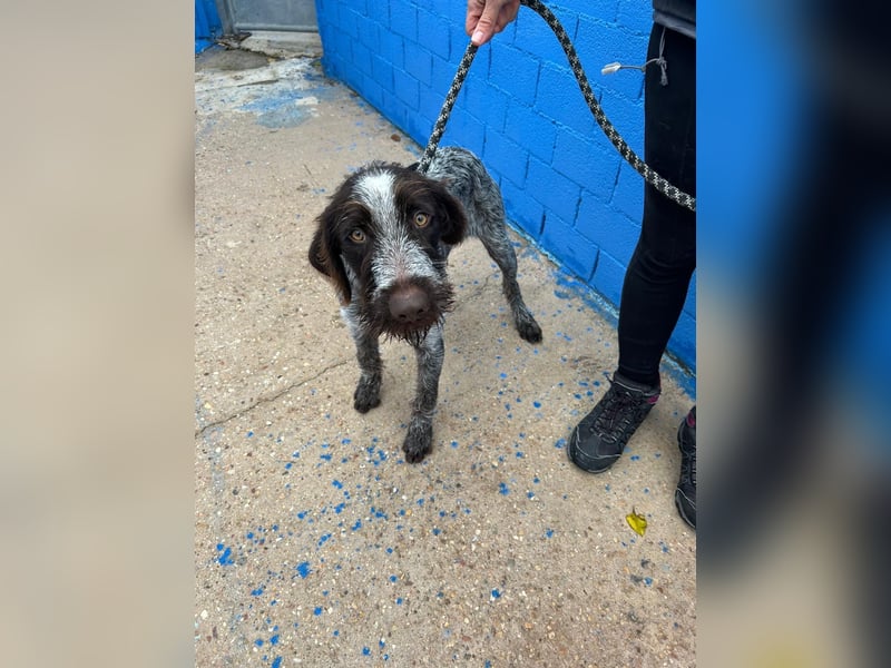 Fito, ein bezaubernder Bube