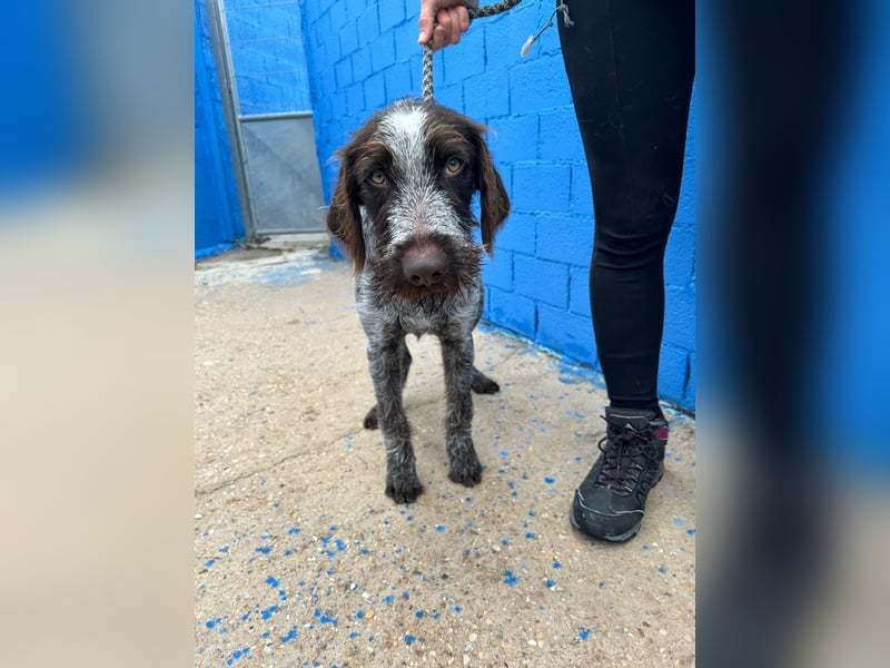 Fito, ein bezaubernder Bube