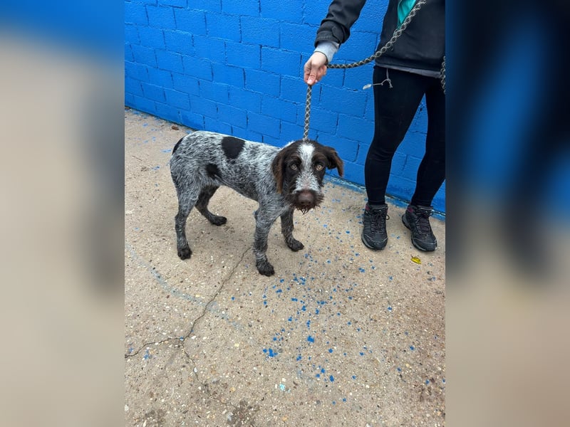 Fito, ein bezaubernder Bube