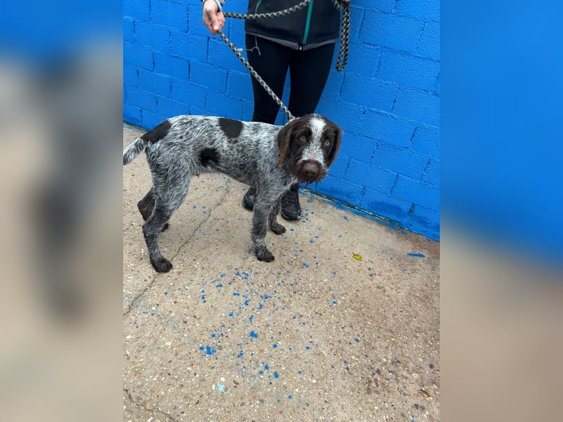 Fito, ein bezaubernder Bube