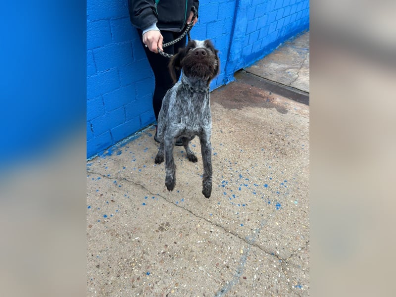 Fito, ein bezaubernder Bube