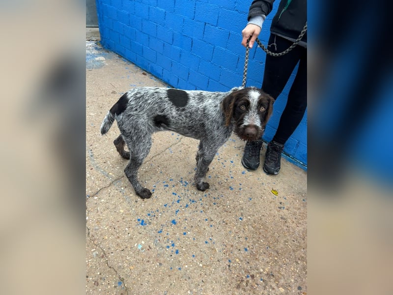 Fito, ein bezaubernder Bube