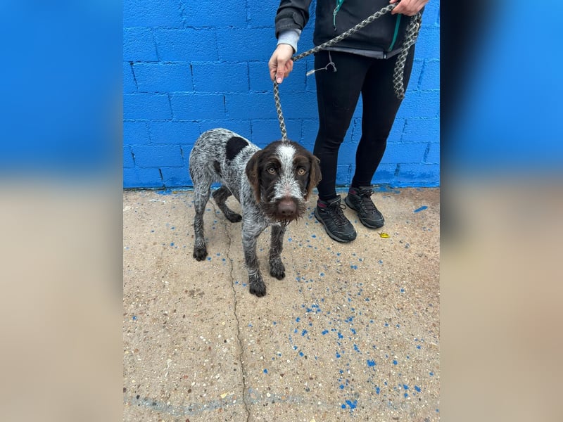 Fito, ein bezaubernder Bube