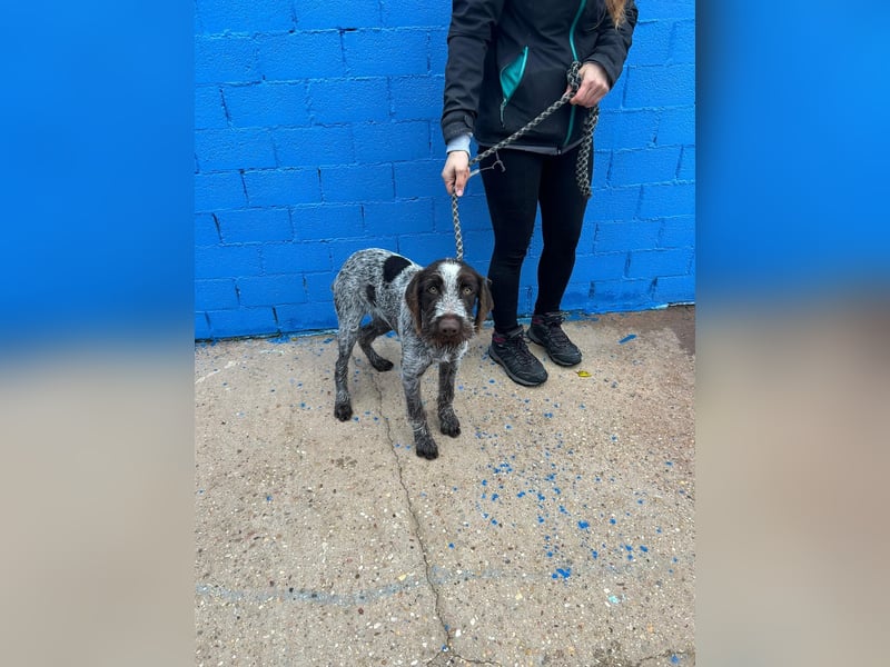 Fito, ein bezaubernder Bube