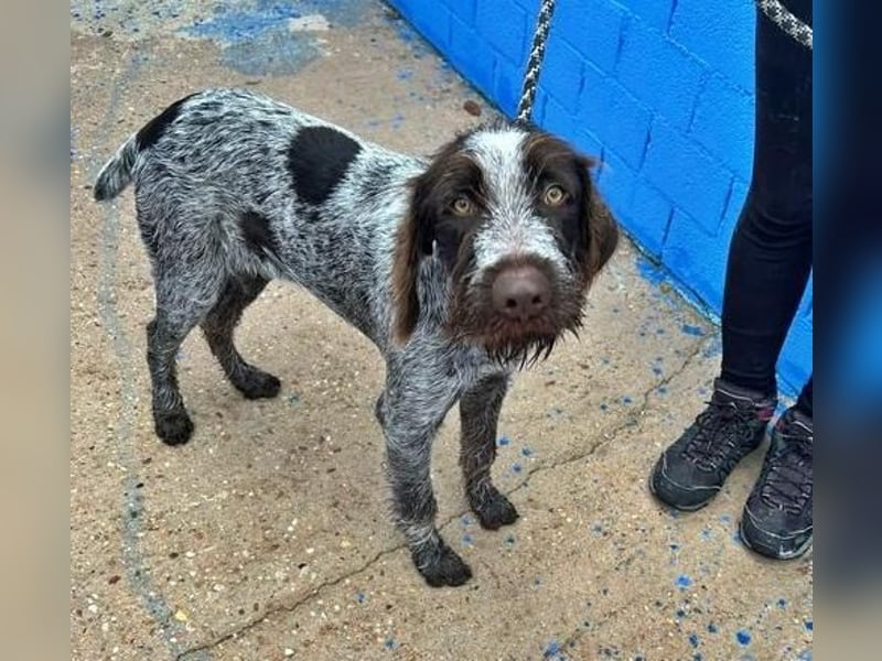 FITO der verschmuste Schatz