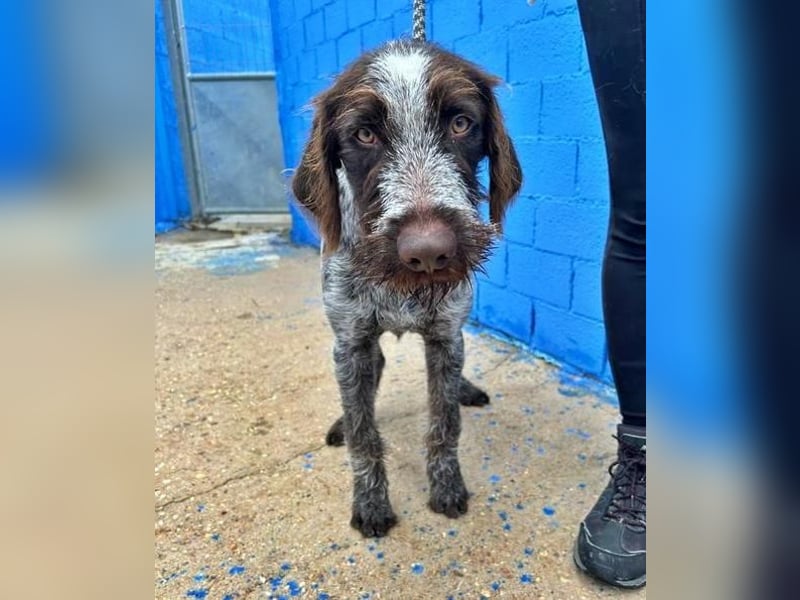 FITO der verschmuste Schatz