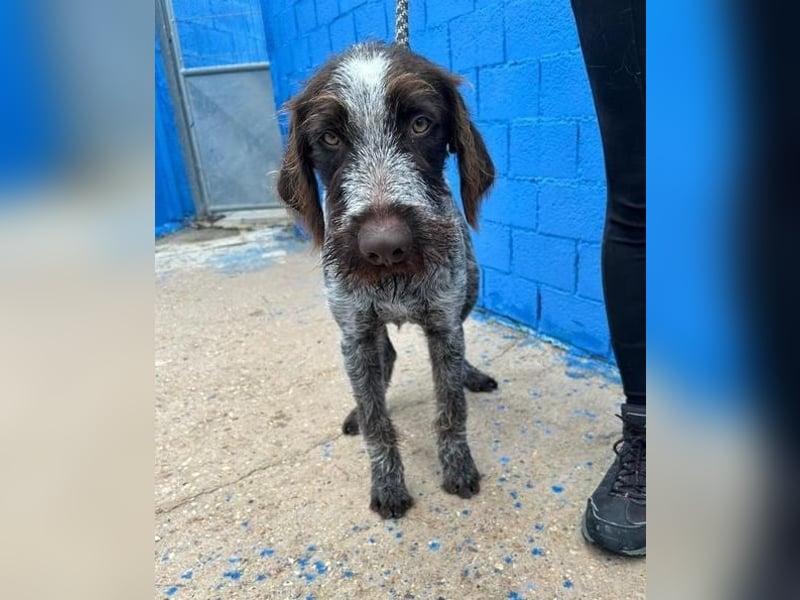 FITO der verschmuste Schatz