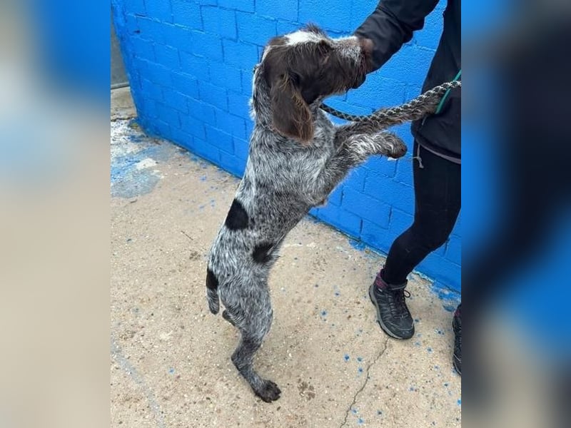 FITO der verschmuste Schatz