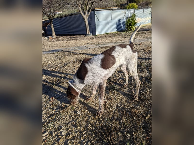 Ariel möchte ankommen und für immer bleiben!