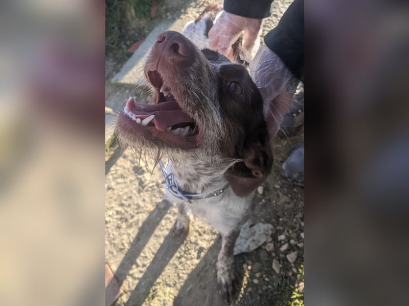 Ariel möchte ankommen und für immer bleiben!