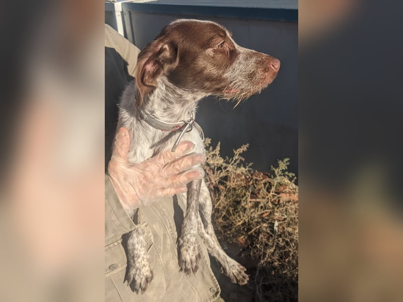 Ariel möchte ankommen und für immer bleiben!