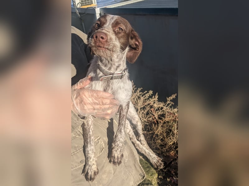 Ariel möchte ankommen und für immer bleiben!