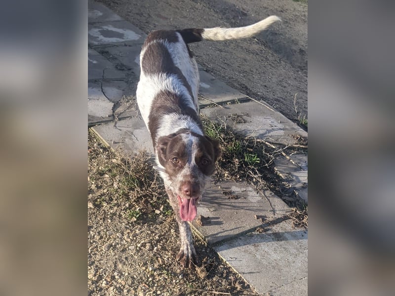 Ariel möchte ankommen und für immer bleiben!