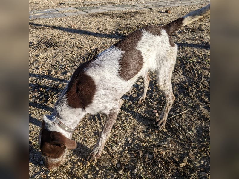 Ariel möchte ankommen und für immer bleiben!