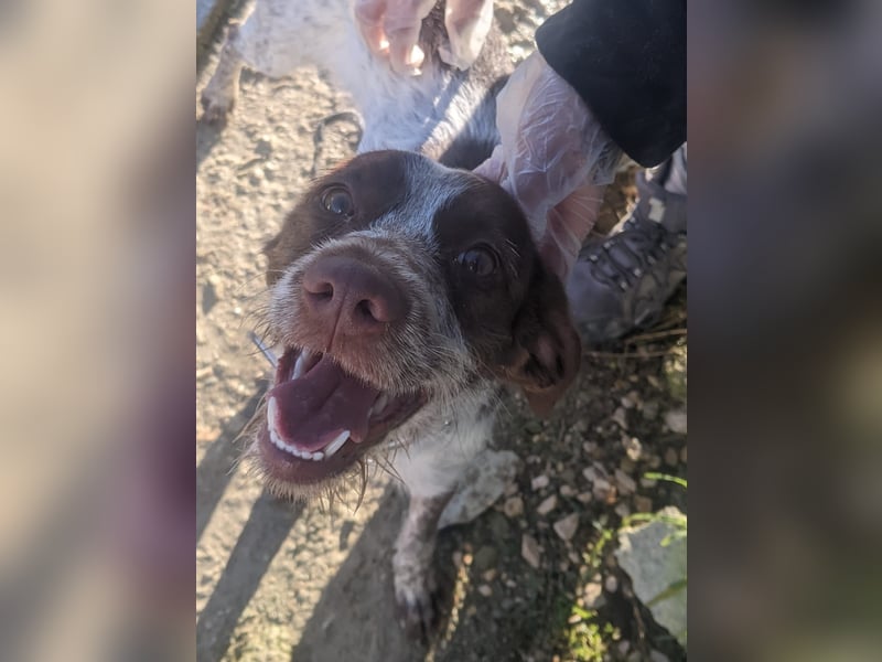 Ariel möchte ankommen und für immer bleiben!