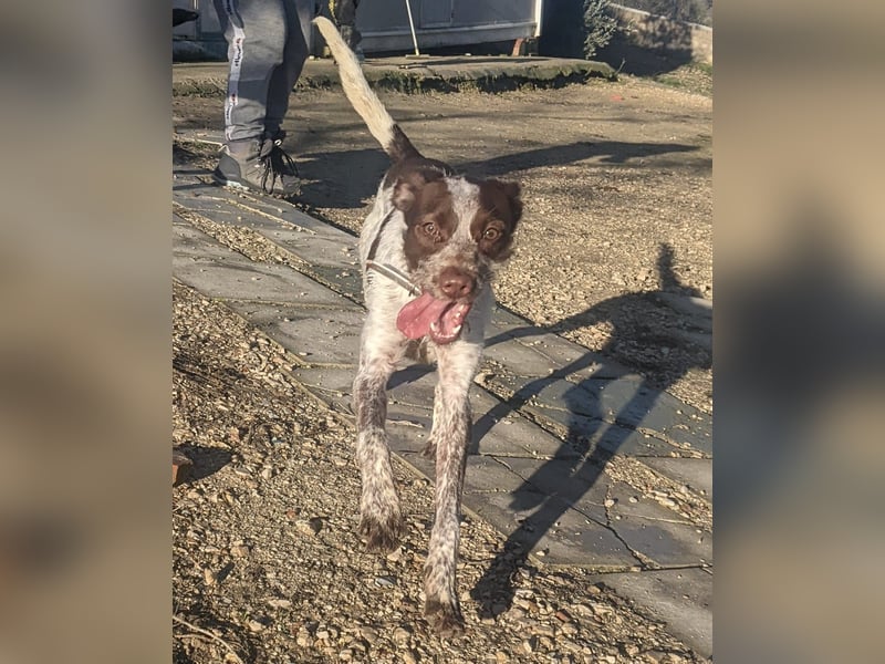 Ariel möchte ankommen und für immer bleiben!