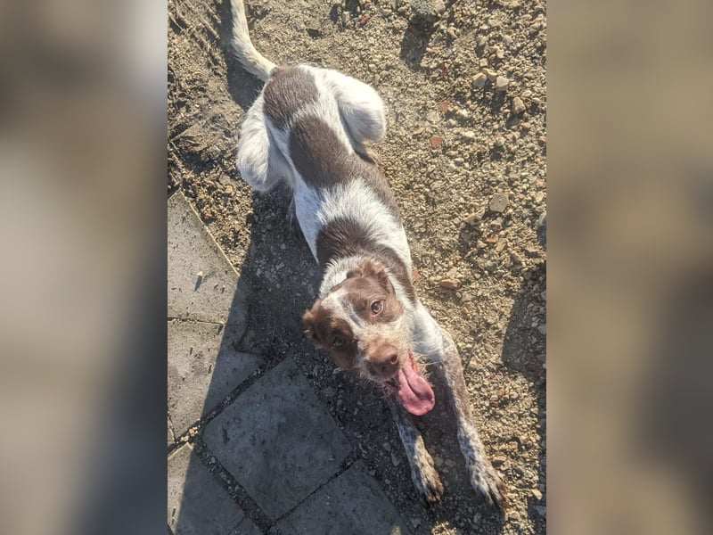 Ariel möchte ankommen und für immer bleiben!