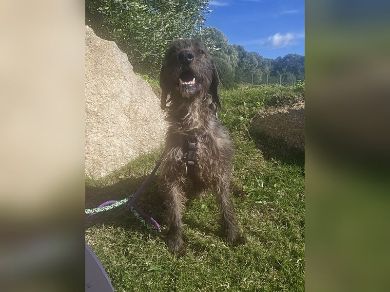 Trenedda: für sie nur noch das Beste