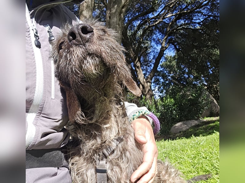 Trenedda: für sie nur noch das Beste