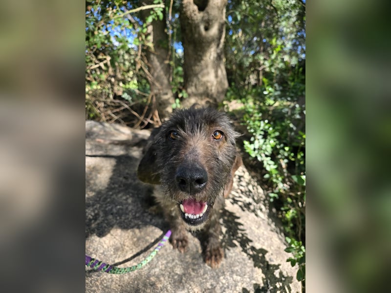 Trenedda: für sie nur noch das Beste