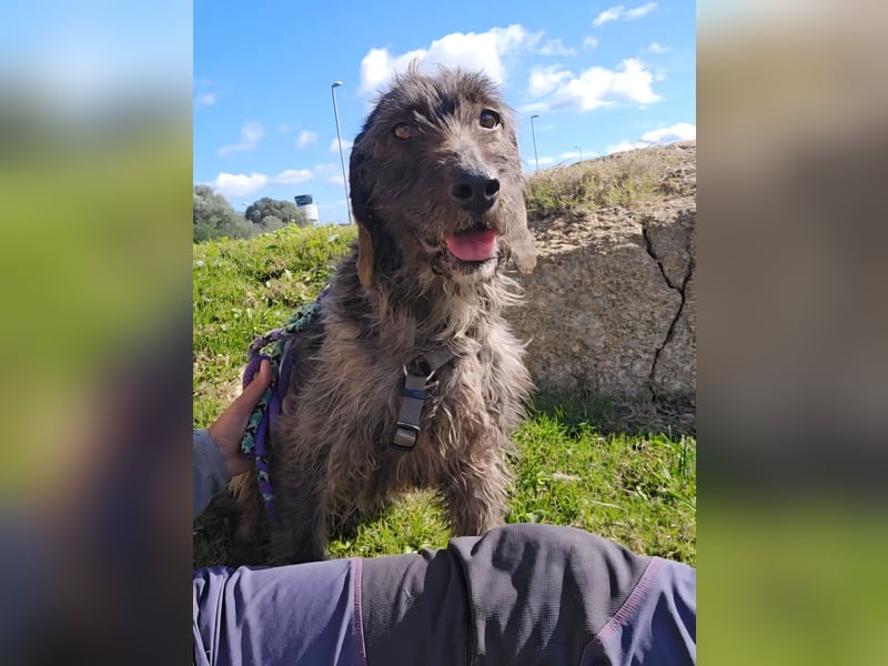 Trenedda: für sie nur noch das Beste