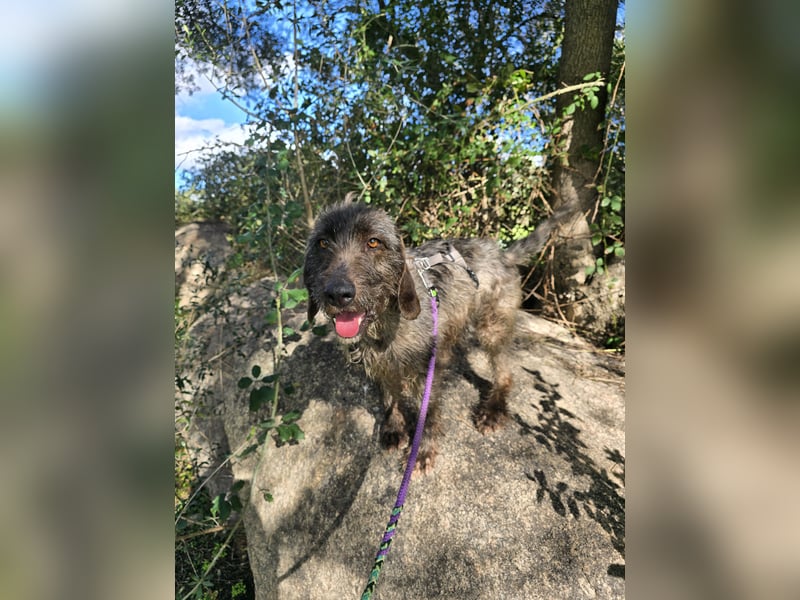 Trenedda: für sie nur noch das Beste