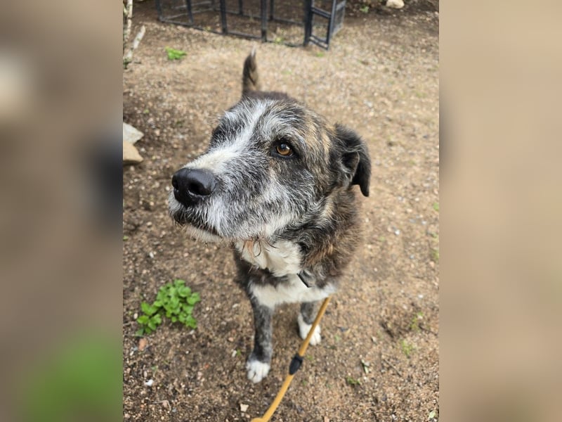 Luke: unglaublich menschenbezogen