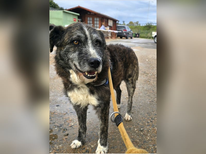 Luke: unglaublich menschenbezogen