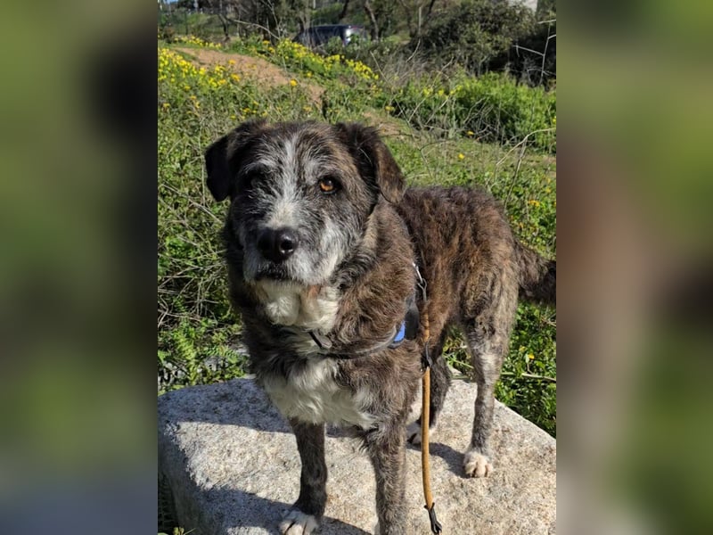 Luke: unglaublich menschenbezogen