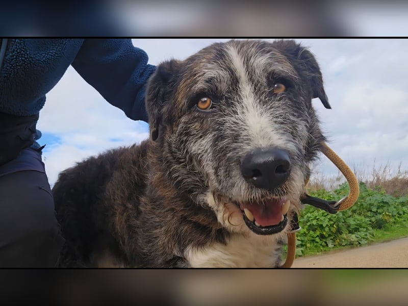 Luke: unglaublich menschenbezogen