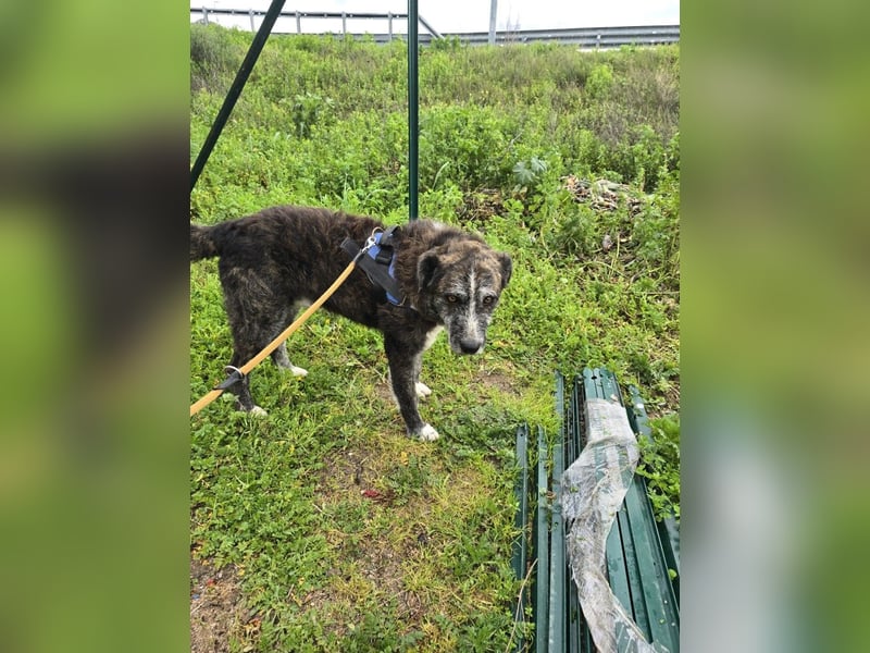 Luke: unglaublich menschenbezogen