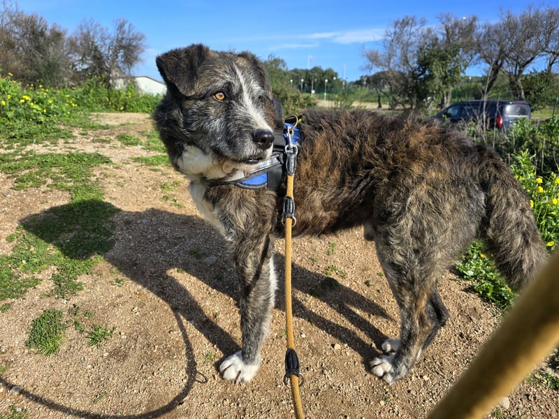 Luke: unglaublich menschenbezogen