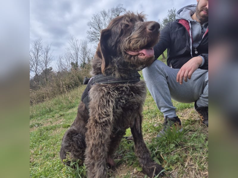 Klaus - ein freundlicher charmanter Bub