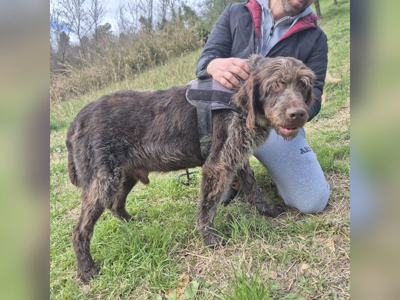 Klaus - ein freundlicher charmanter Bub
