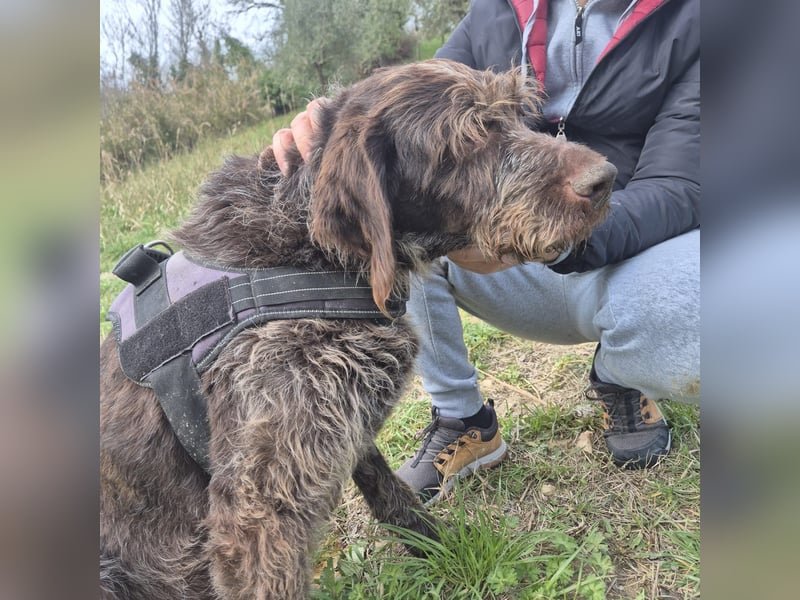 Klaus - ein freundlicher charmanter Bub