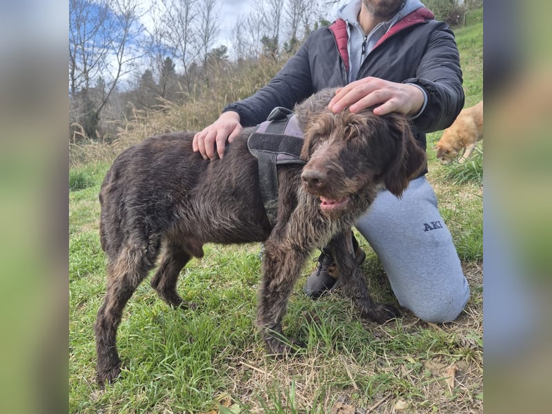 Klaus - ein freundlicher charmanter Bub
