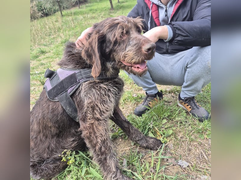 Klaus - ein freundlicher charmanter Bub