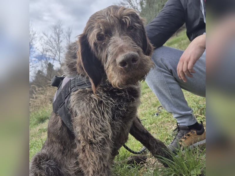 Klaus - ein freundlicher charmanter Bub