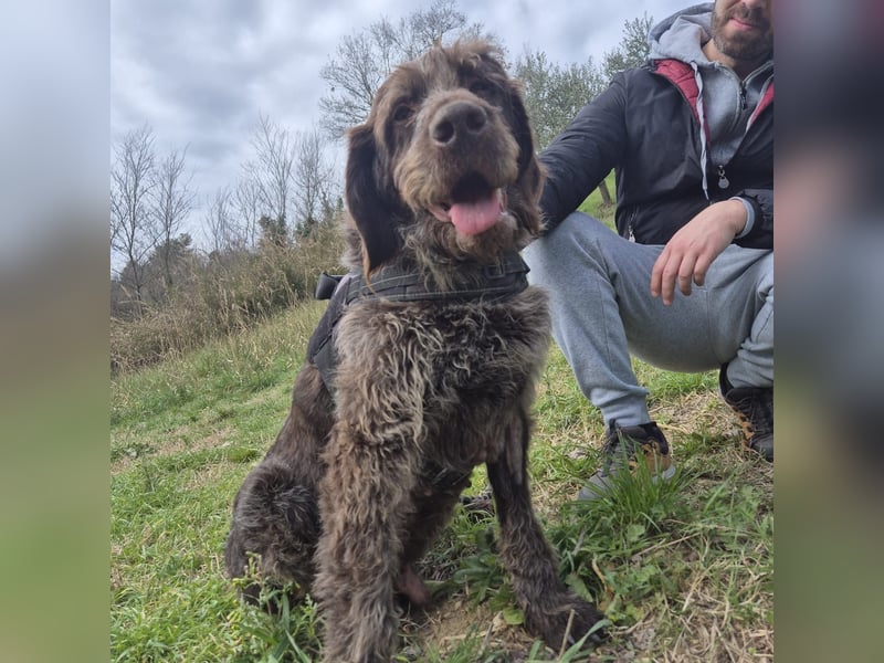 Klaus - ein freundlicher charmanter Bub