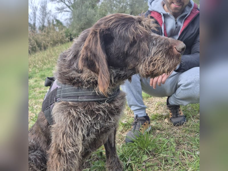 Klaus - ein freundlicher charmanter Bub