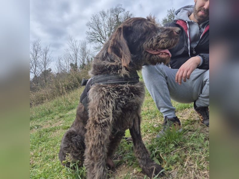Klaus - ein freundlicher charmanter Bub