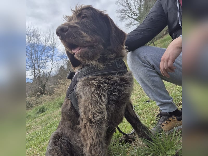 Klaus - ein freundlicher charmanter Bub