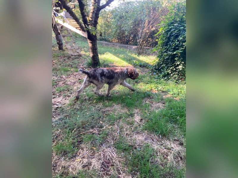 Book - ein großer guter Junge