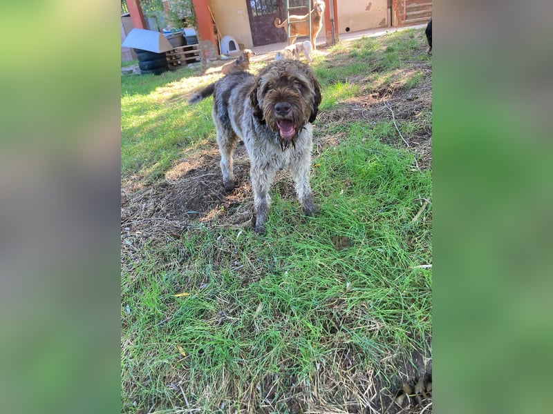 Book - ein großer guter Junge