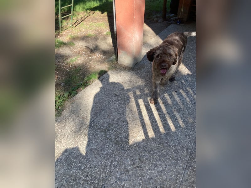 Book - ein großer guter Junge