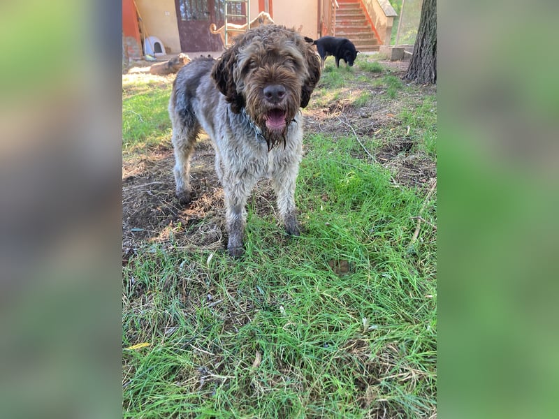 Book - ein großer guter Junge